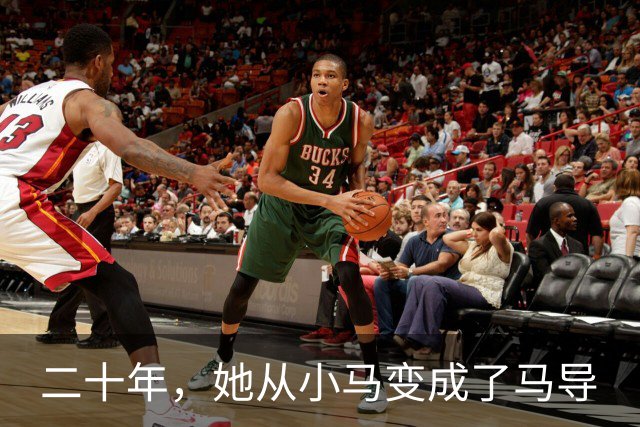 二十年，她从小马变成了马导